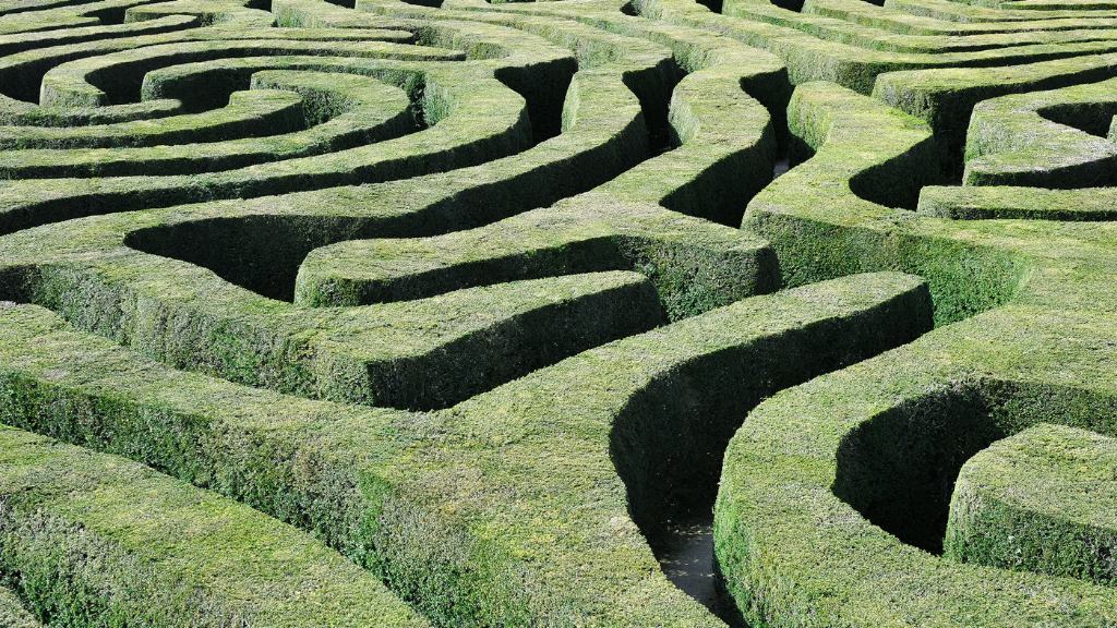 Bild eines Labyrinth