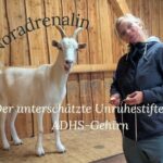 Frau steht bei weißer Ziege in Stall, Text im Bild: Noradrenalin, der unterschätzte Unruhestifter im ADHS Gehirn
