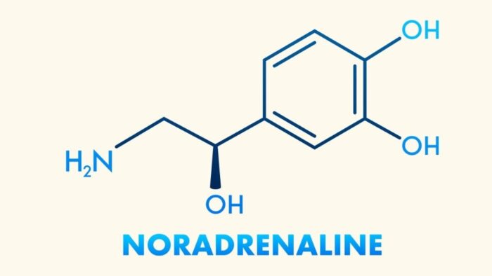chemische Formel von Noradrenalin
