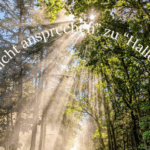 Licht durchbricht einen Waldweg