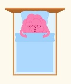 Bild eines gemalten gehirns, das in einem Bett liegt und schläft, Sicht von oben