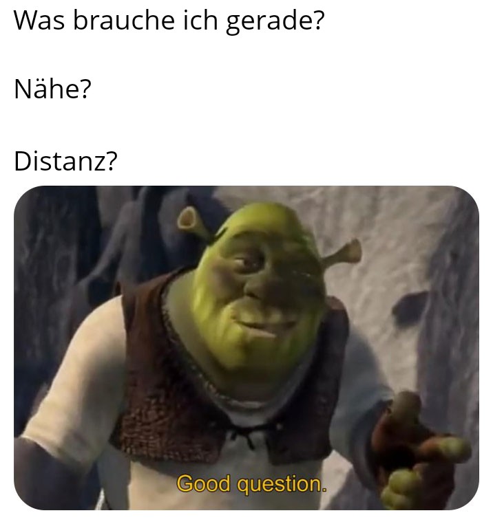 Meme mit Shrek, der "Gute Frage" Antwortet auf die Frage: Was brauche ich gerade? Nähe? Distanz?