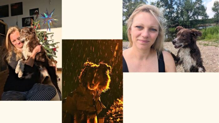 Collage aus drei Bilder von Hund Faro