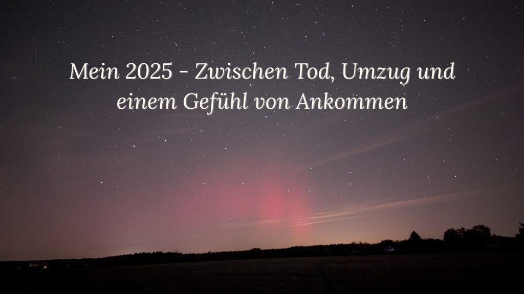 Bild von Nordlichtern über Bad Düben